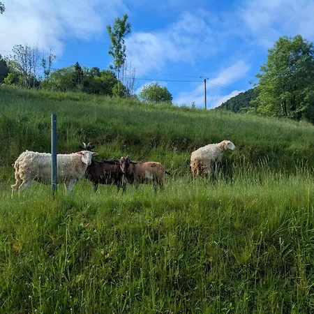 Lejlighed A La Croix De Manse
